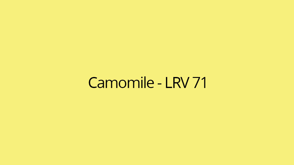 Camomile - LRV 71